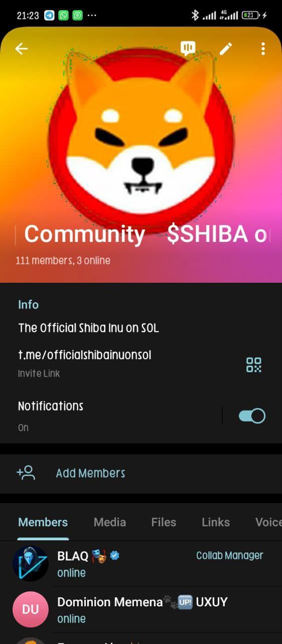 $SHIBA on SOL